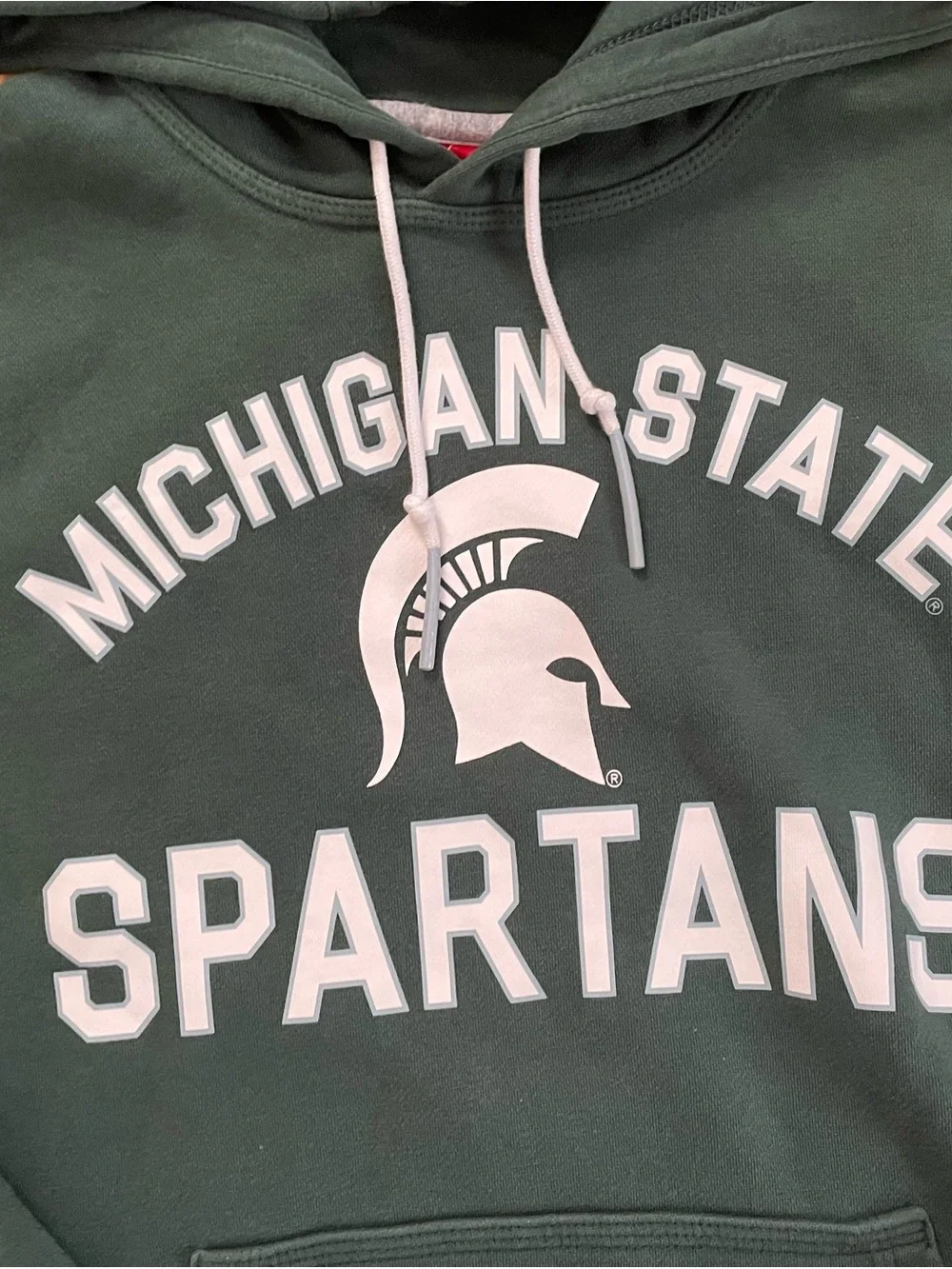 Nike Michigan State Spartans MSU Pullover Hoodie Sweatshirt Green Men’s Size S